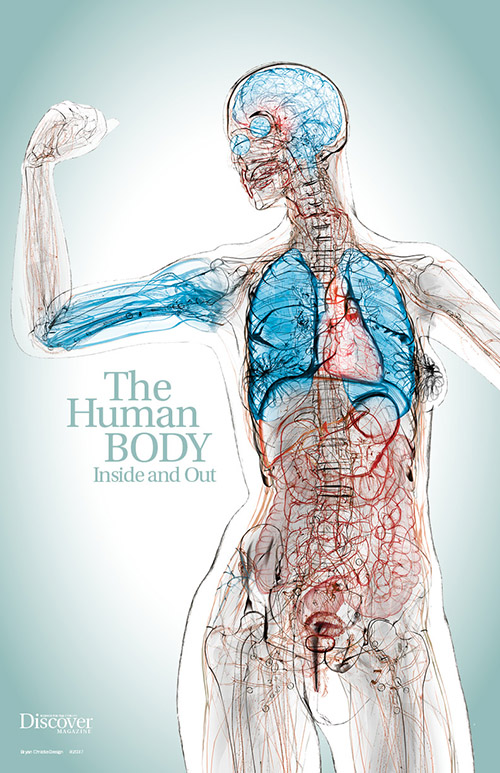 The Human Body: Inside and Out Poster