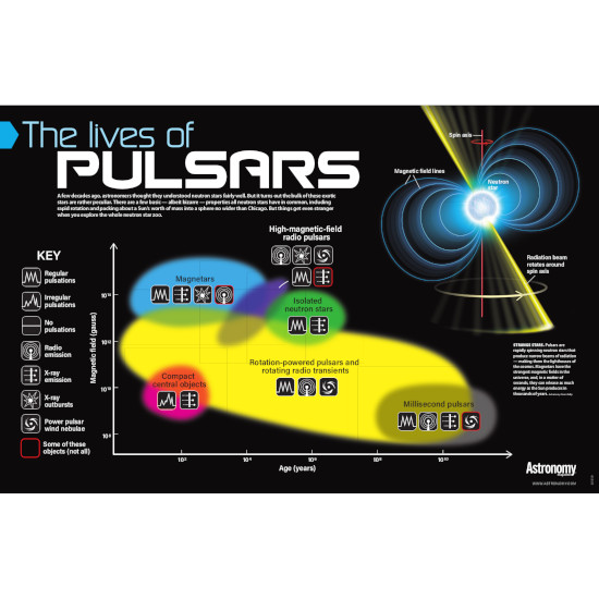 The Lives of Pulsars Poster